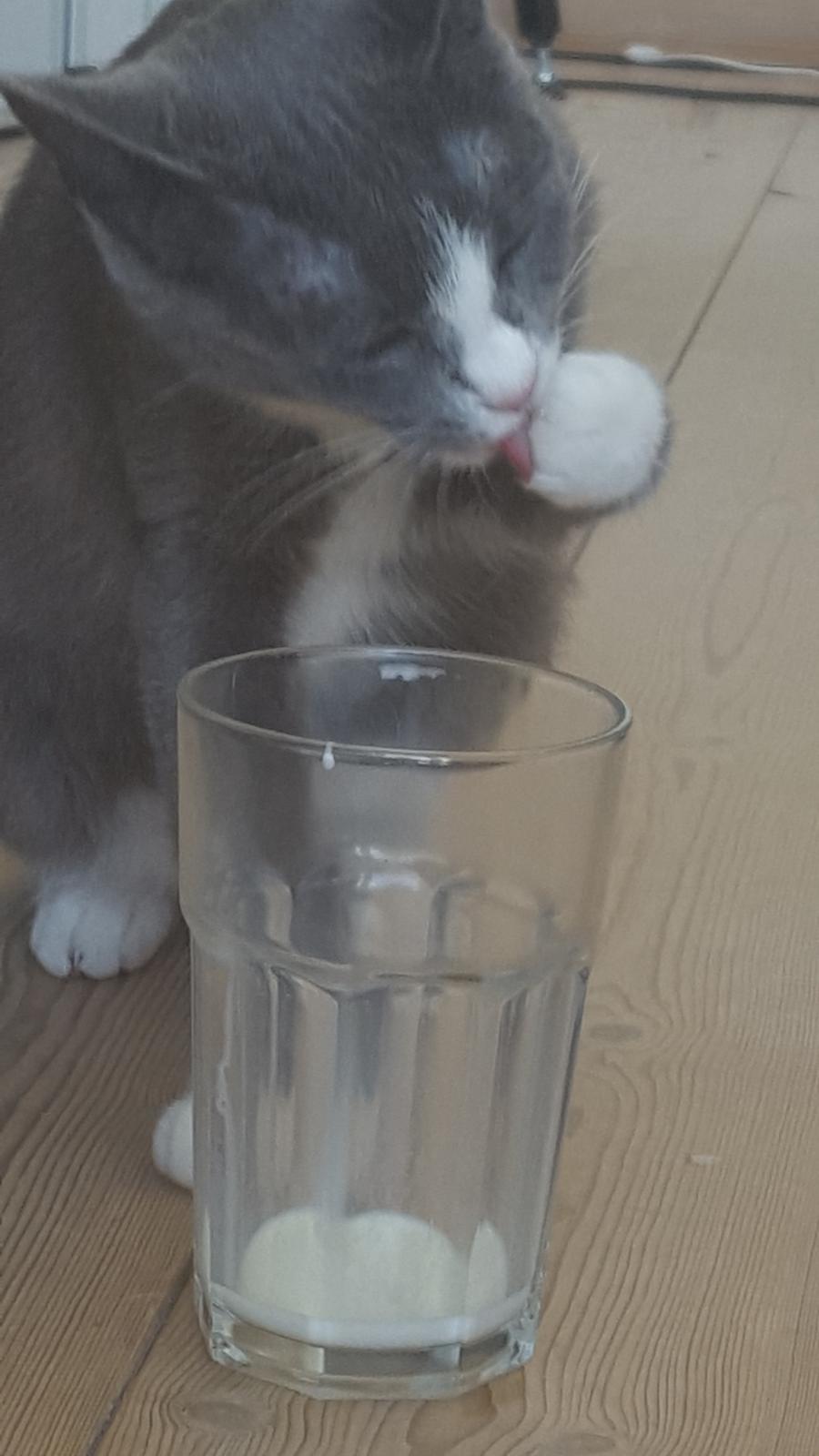 Blanding af racer Stumper billede 6