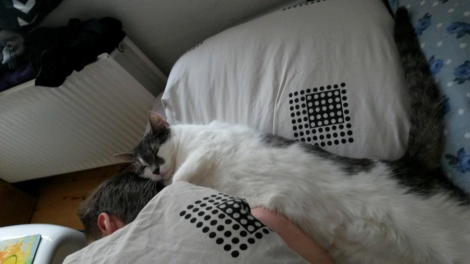 Huskat Laura billede 3