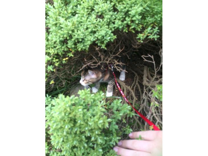 {{currentPhoto.altText}} billede {{currentPhoto.number}}