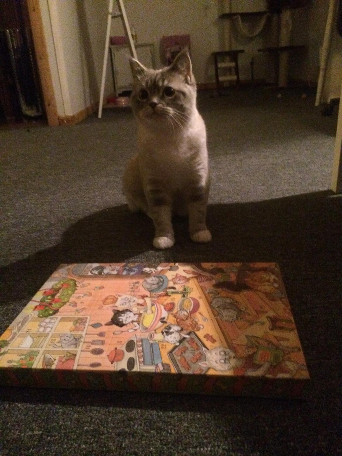 Blanding af racer Lulu - Lulu og hendes første Julekalender 2014 billede 12