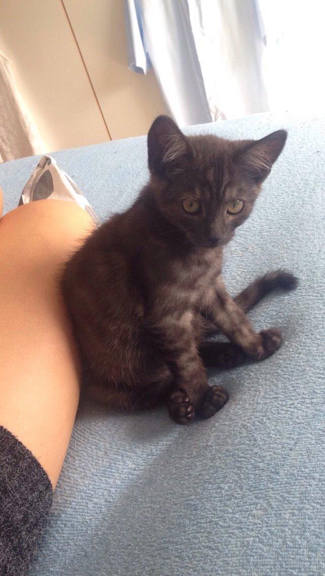 Huskat Luna <3 - LUNA <3 billede 8