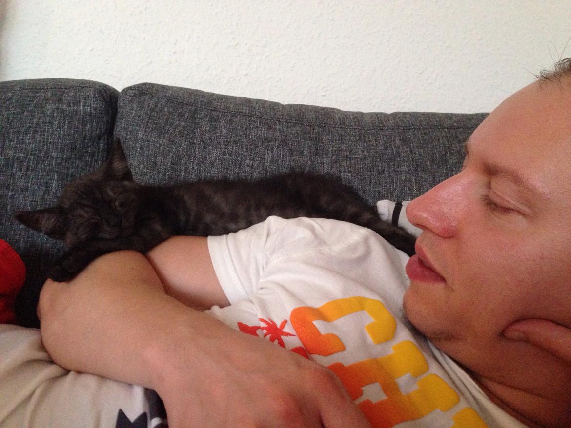 Huskat Luna <3 - Man ligger nu også meget godt her på fars store arm :-) billede 17