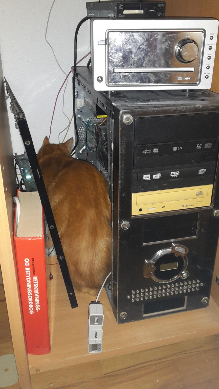 Huskat Bandit - Min hankat billede 2