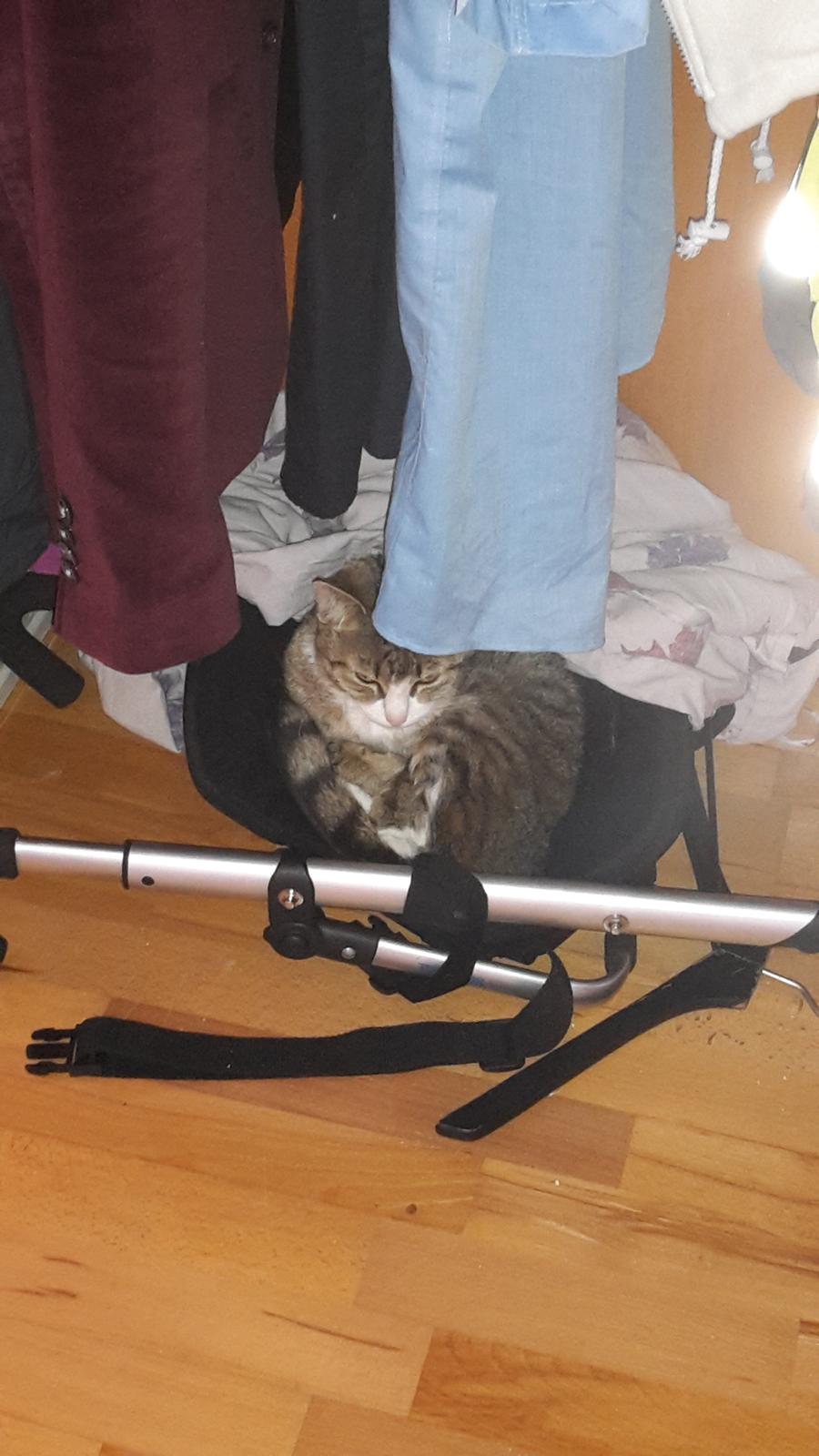 Huskat Tulle billede 2