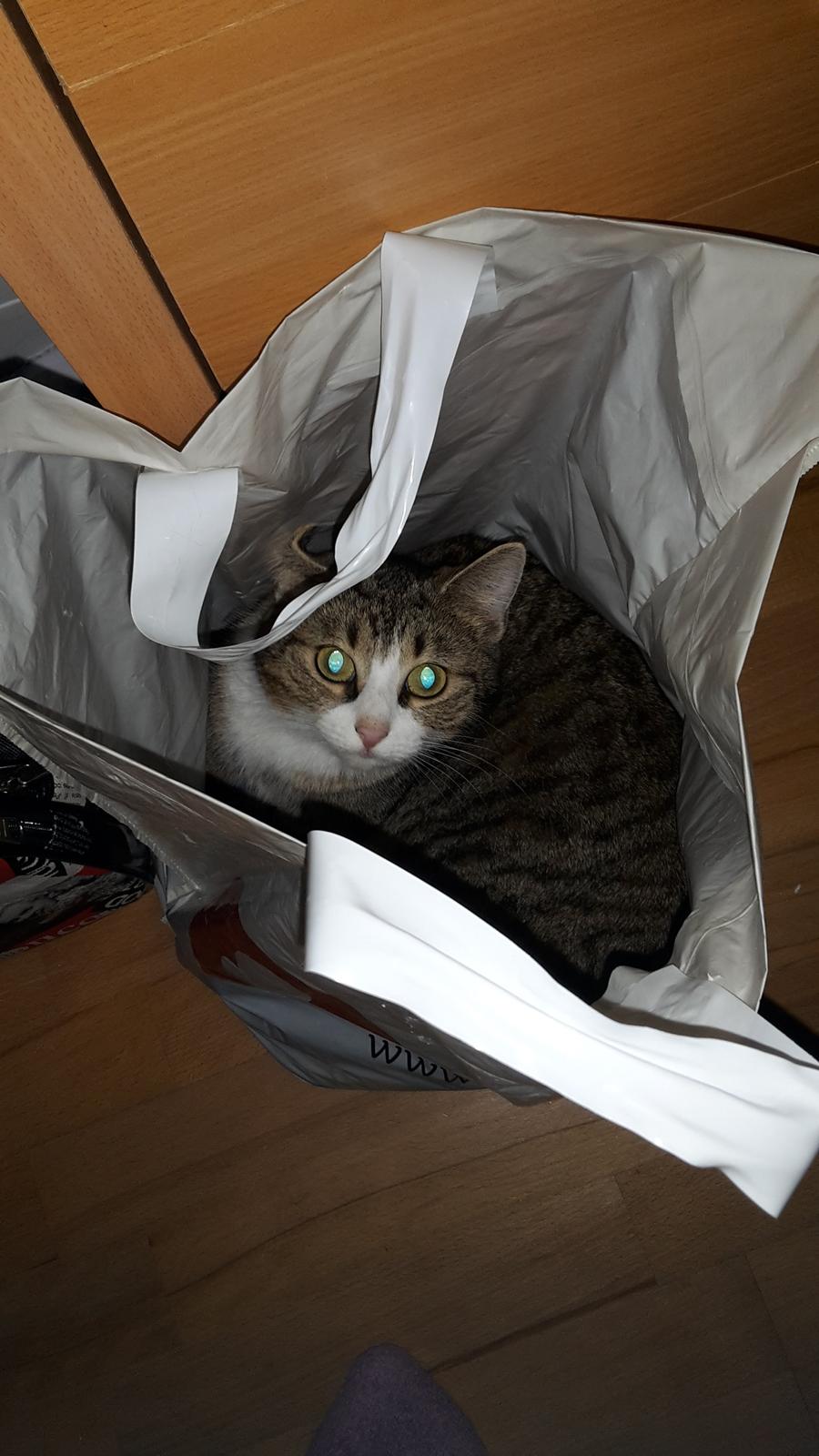 Huskat Tulle billede 4