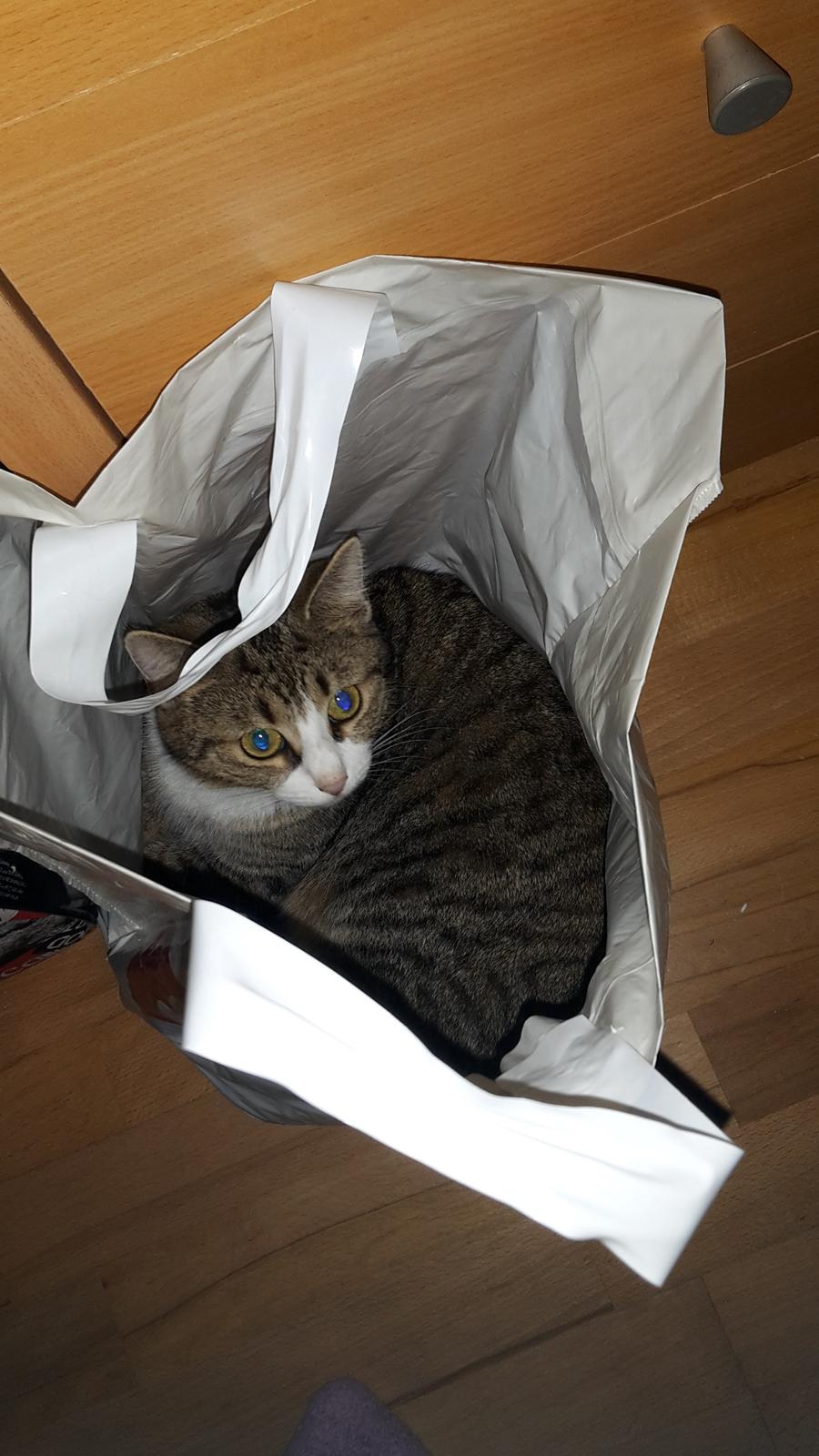 Huskat Tulle billede 6