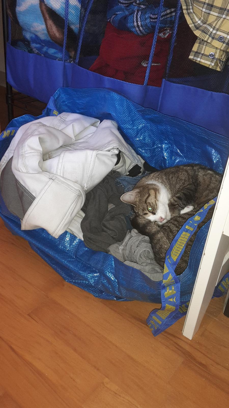 Huskat Tulle billede 7