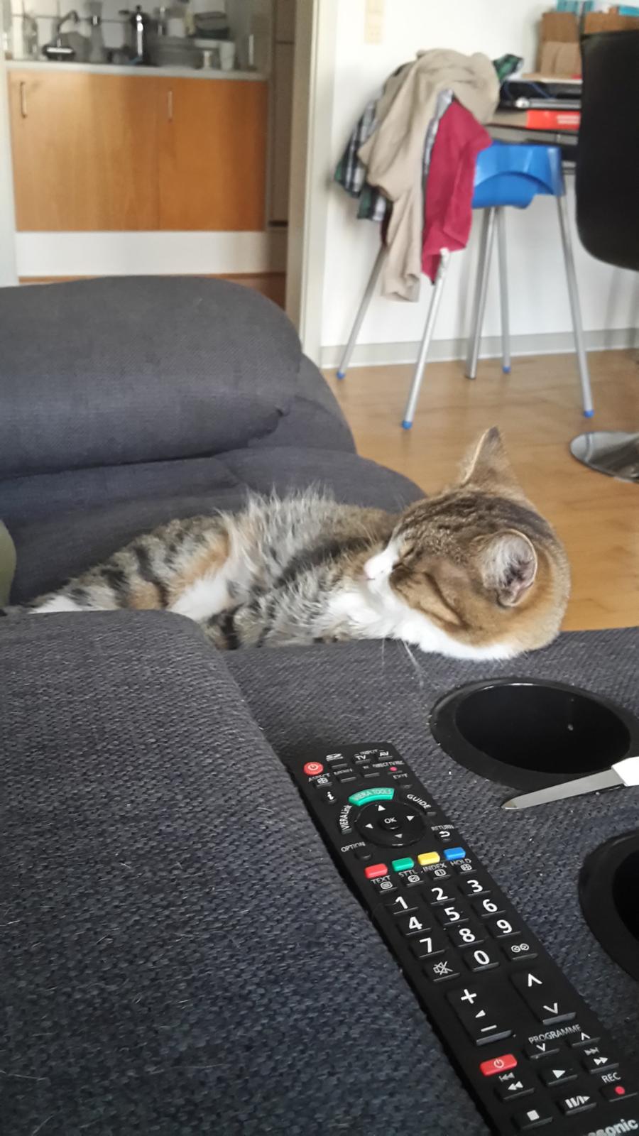 Huskat Tulle billede 17