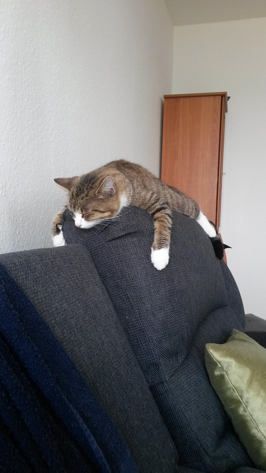 Huskat Tulle billede 21