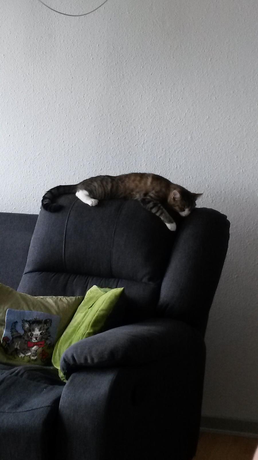 Huskat Tulle billede 22