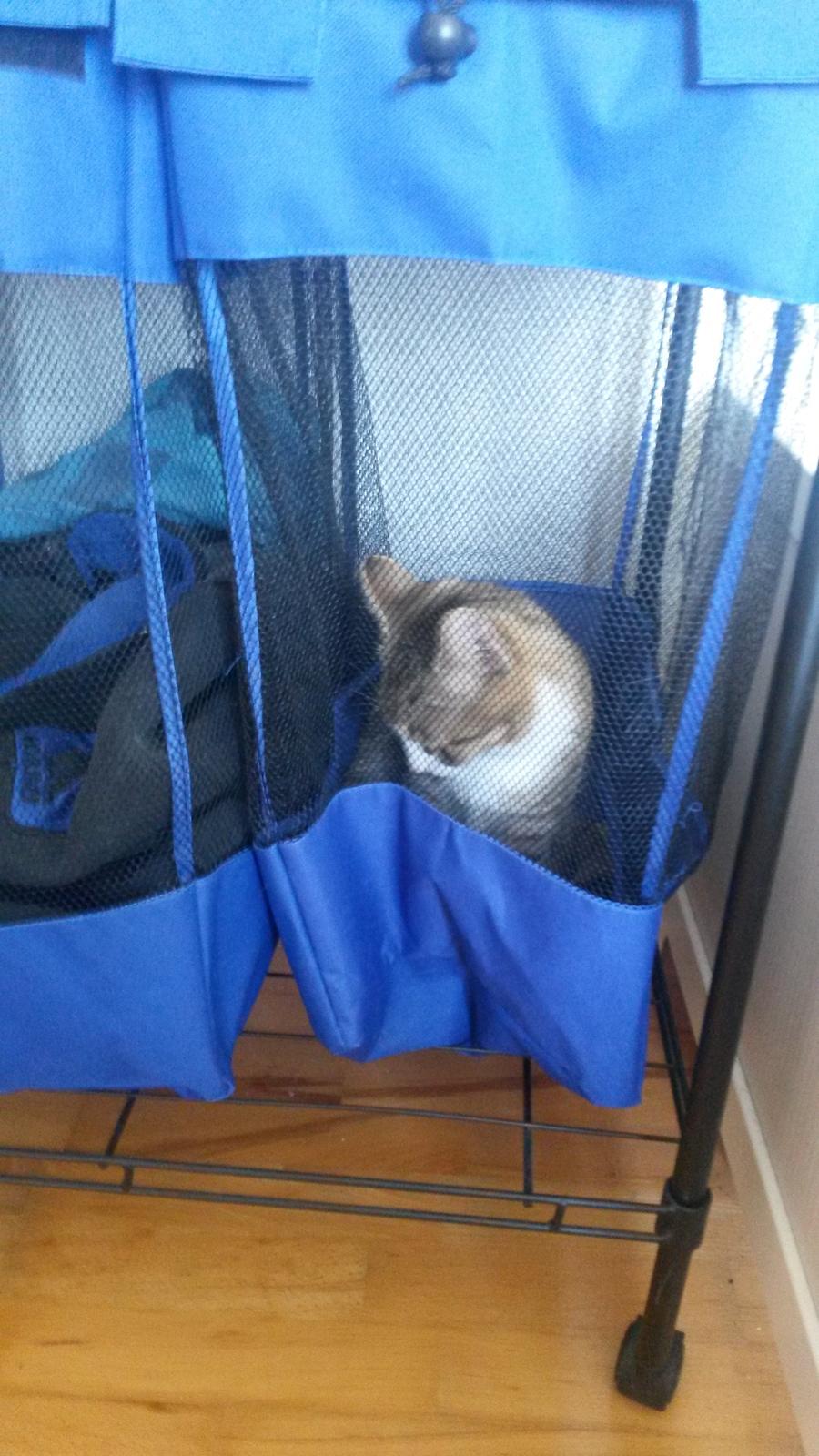 Huskat Tulle billede 28