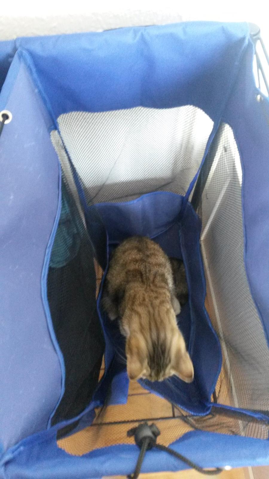 Huskat Tulle billede 27