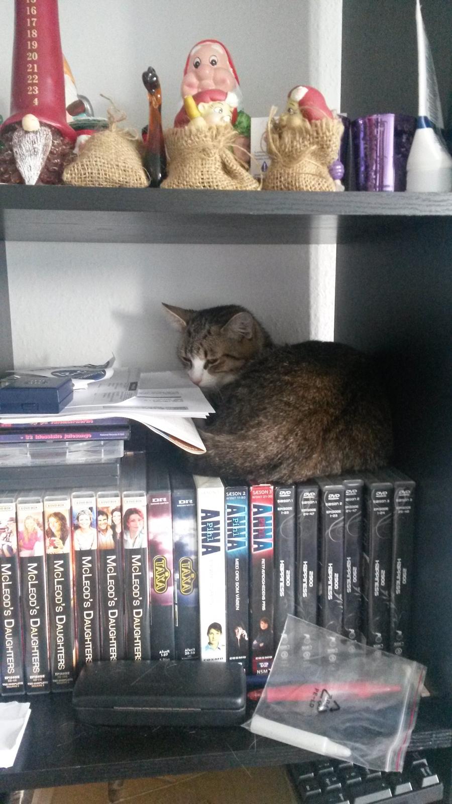 Huskat Tulle billede 31