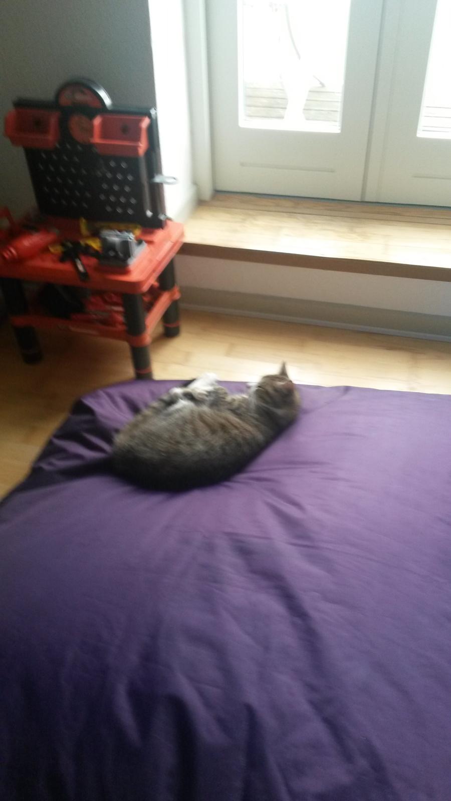 Huskat Tulle billede 35