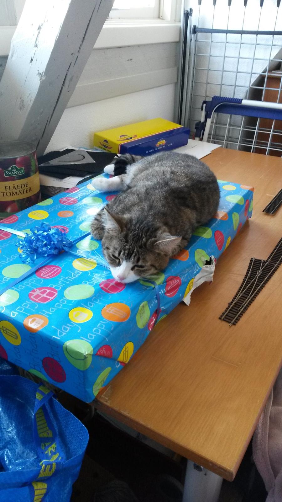 Huskat Tulle billede 41