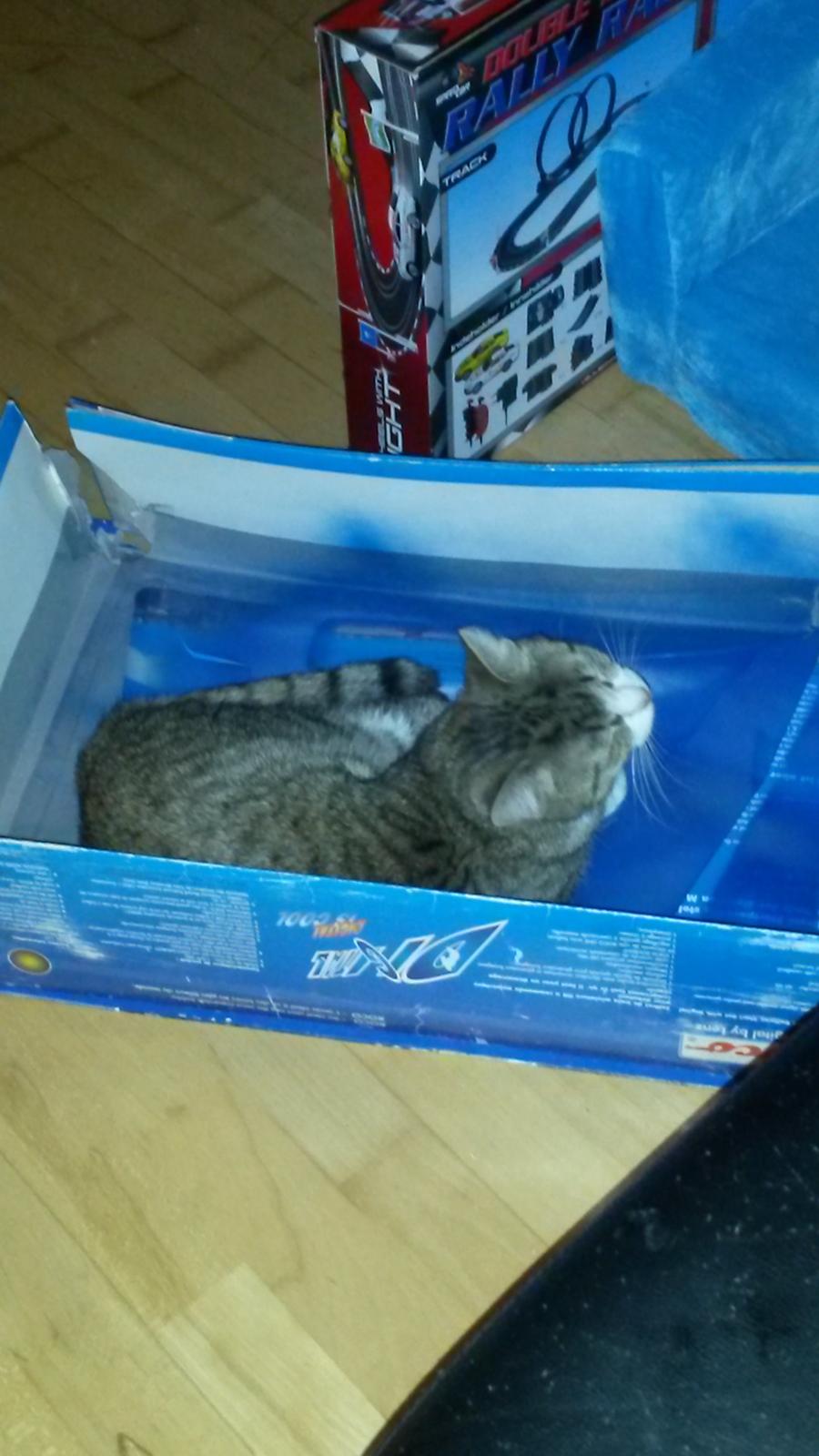 Huskat Tulle billede 44