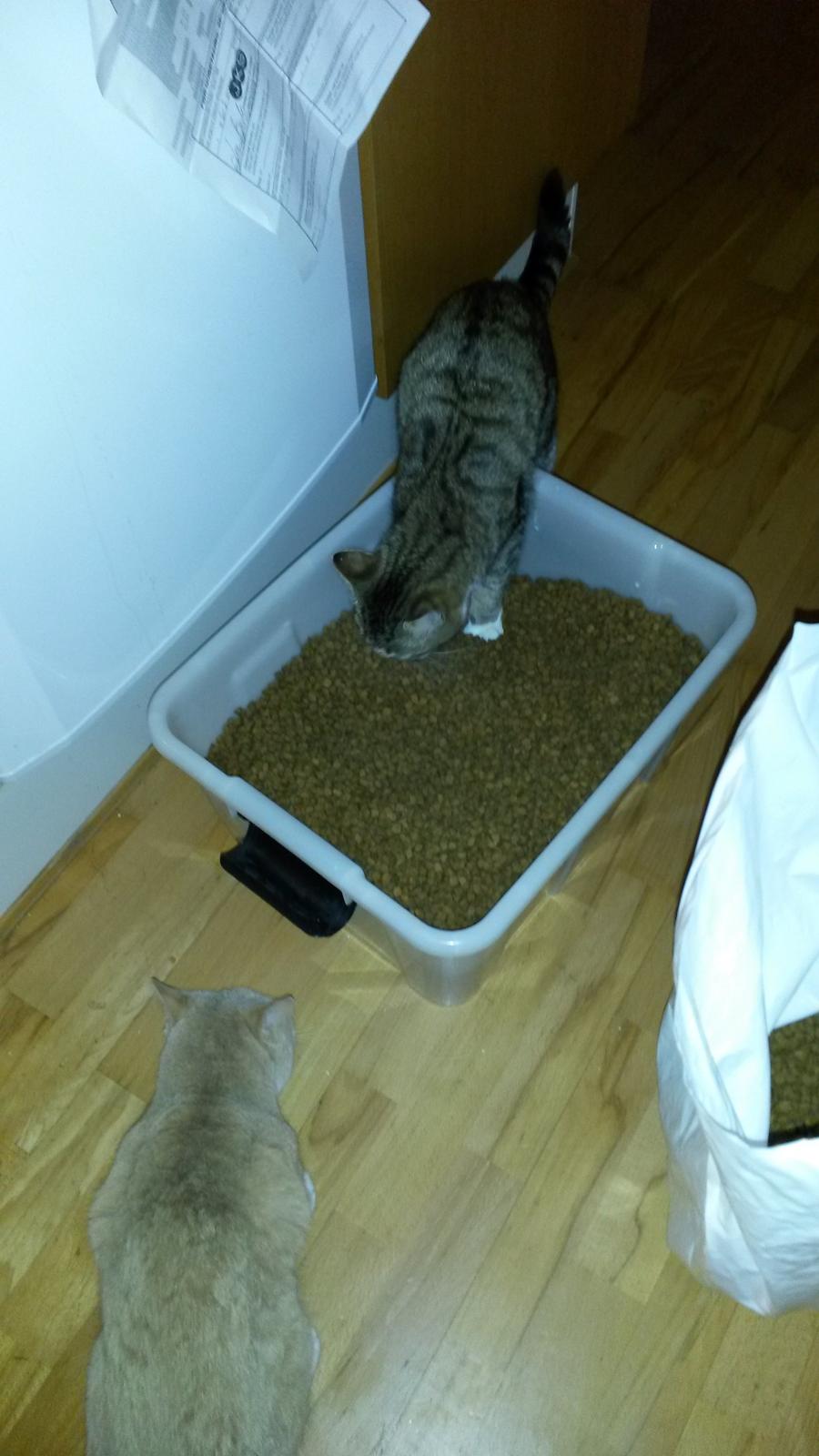 Huskat Tulle billede 49