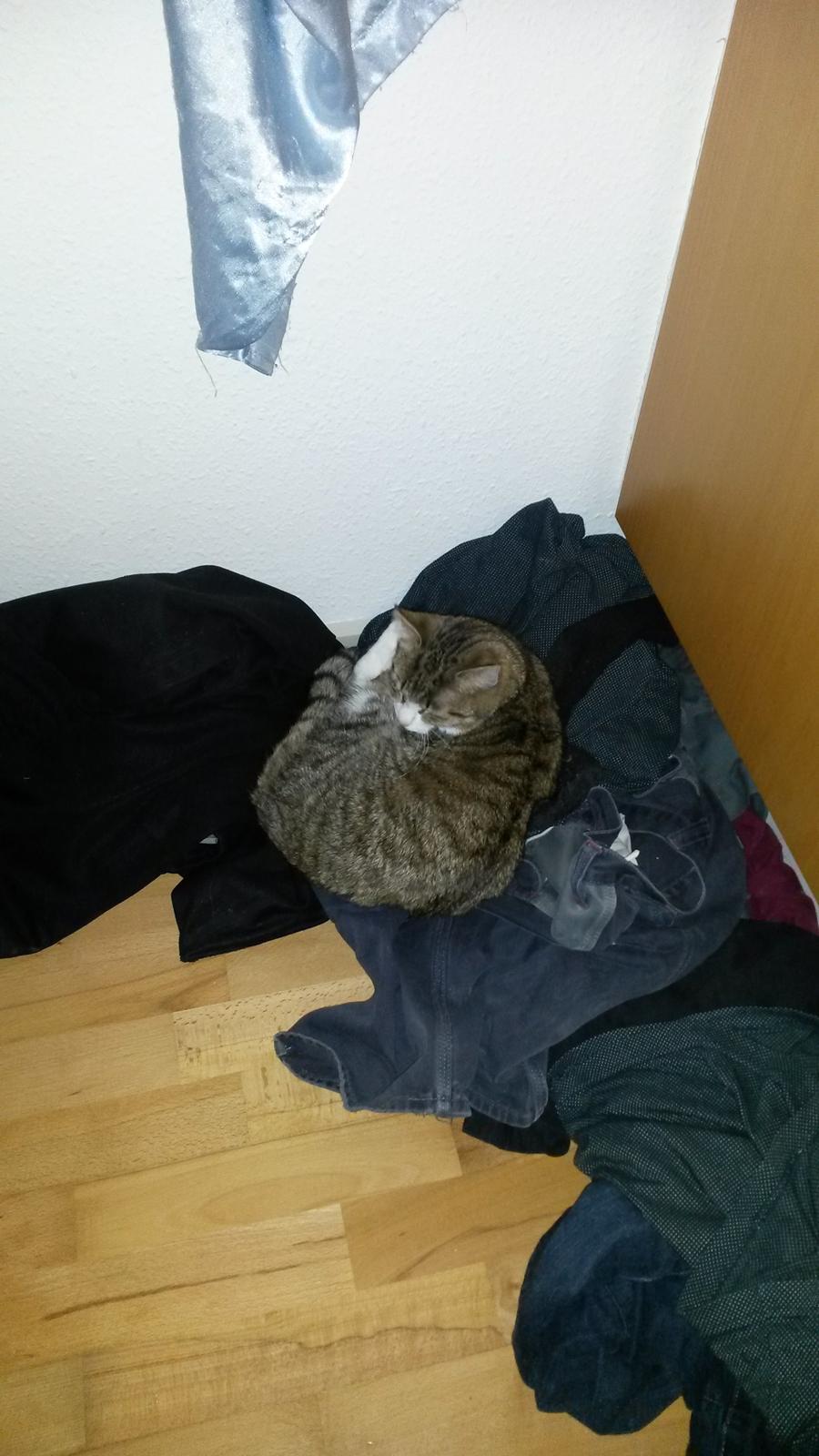 Huskat Tulle billede 38