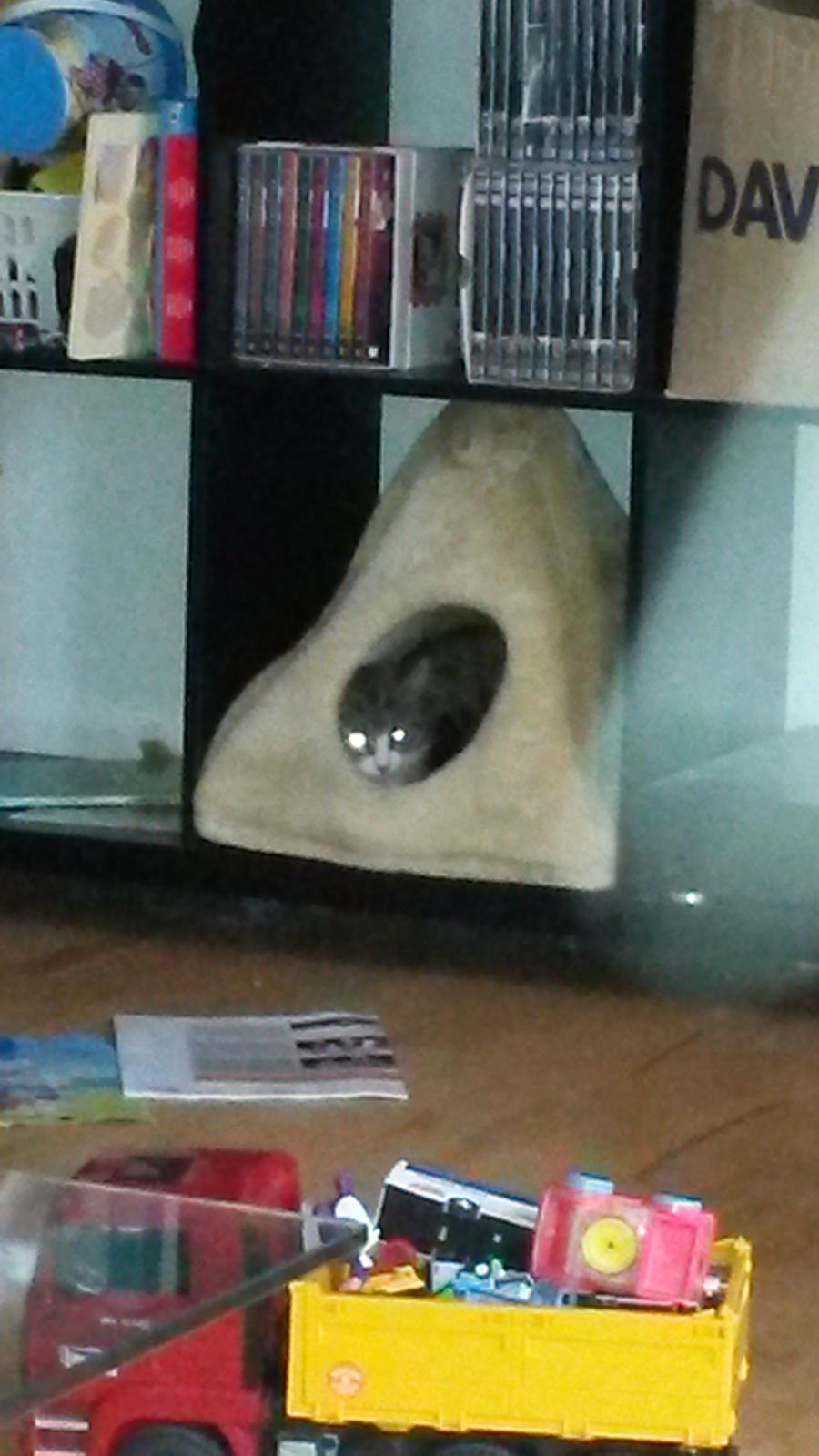 Huskat Tulle billede 39