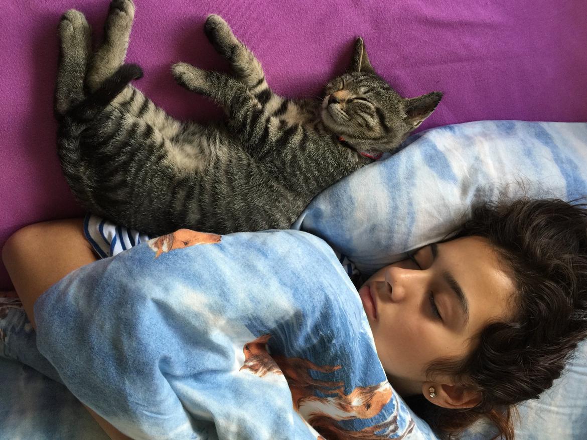 Huskat Simba - noraaa ❤️ billede 41