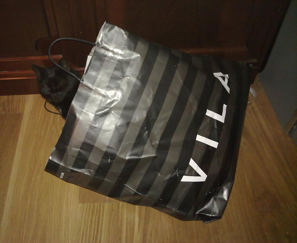 Blanding af racer Twiggy billede 19