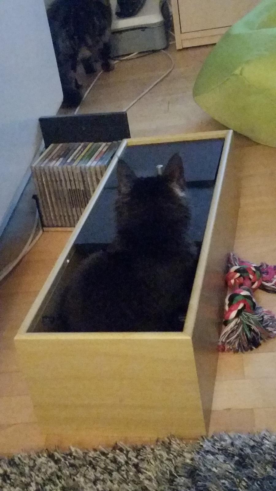 Blanding af racer Morgan - En cd-reol der er gået i stykker er ganske udemærket sidde-sted billede 7