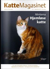 Tyrkisk Angora IC Tansdale Colourme Autumn - Katte Magasinet september 2015 billede 2