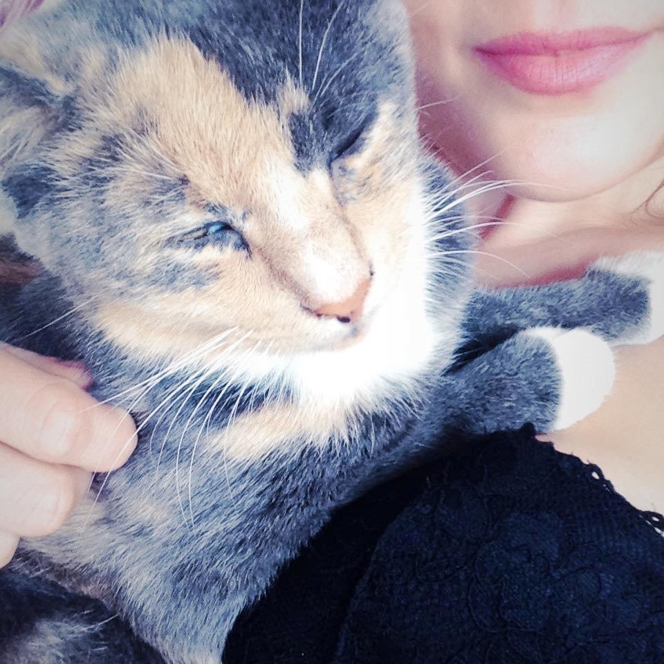 Huskat Missen billede 6