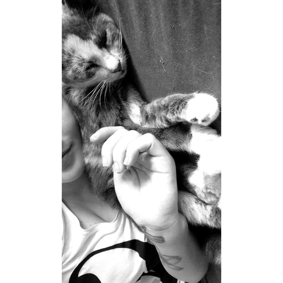 Huskat Missen billede 8