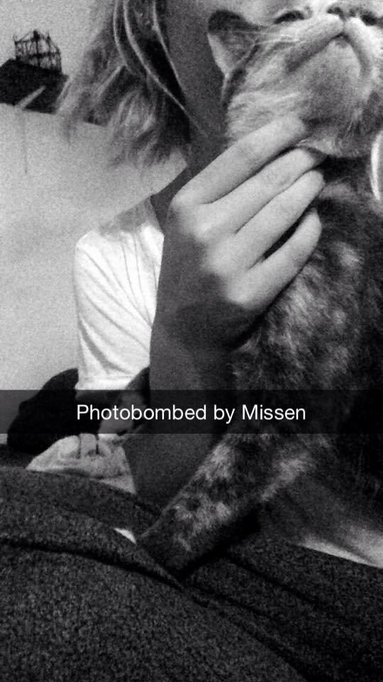 Huskat Missen billede 5