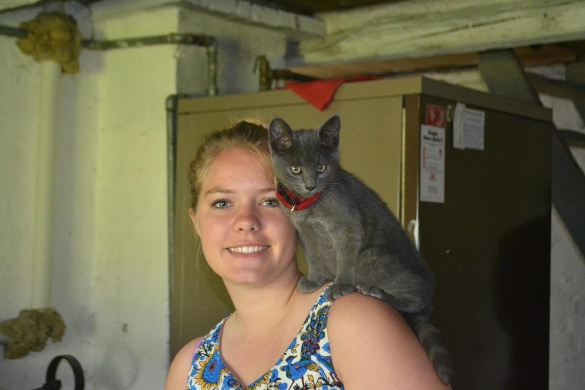 Huskat Nala billede 2