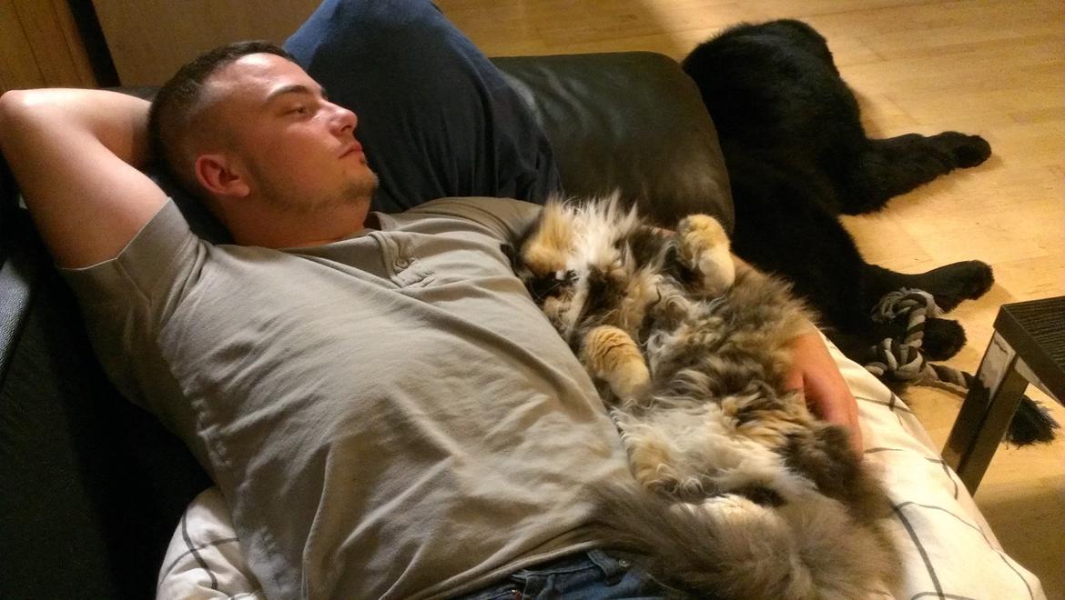 Blanding af racer Tessa billede 42