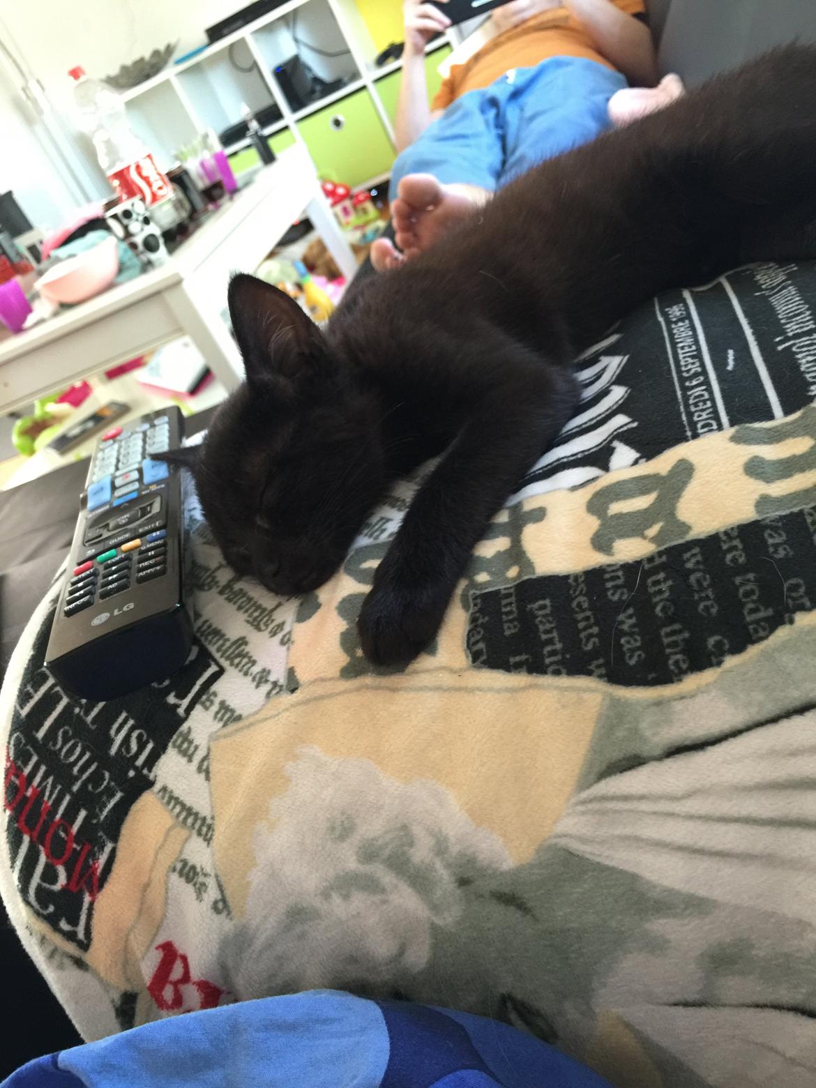 Huskat Cupcake <3 billede 2