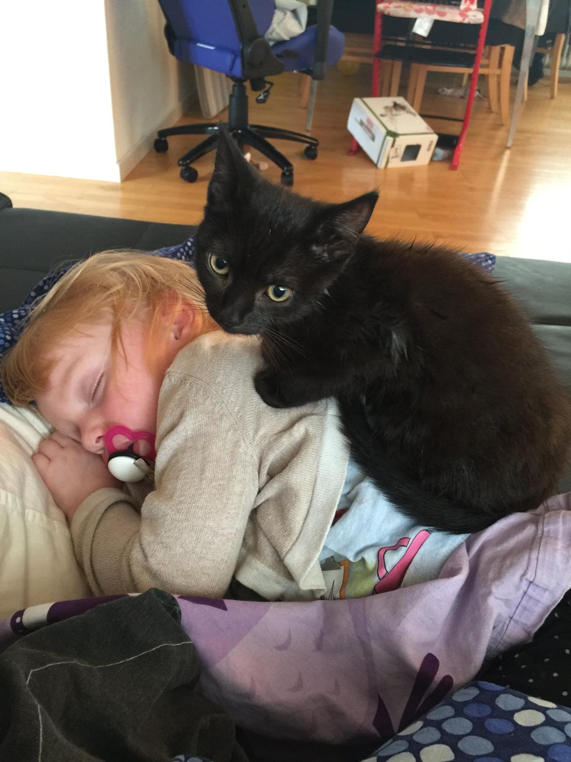 Huskat Cupcake <3 billede 4