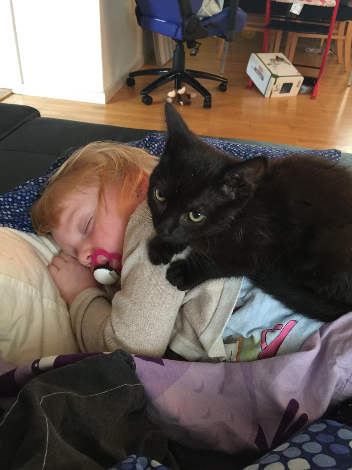 Huskat Cupcake <3 billede 5