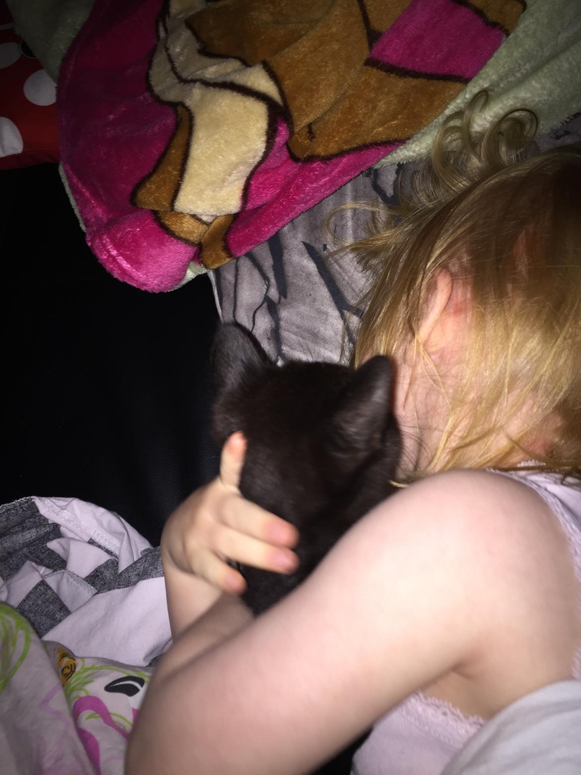 Huskat Cupcake <3 billede 7