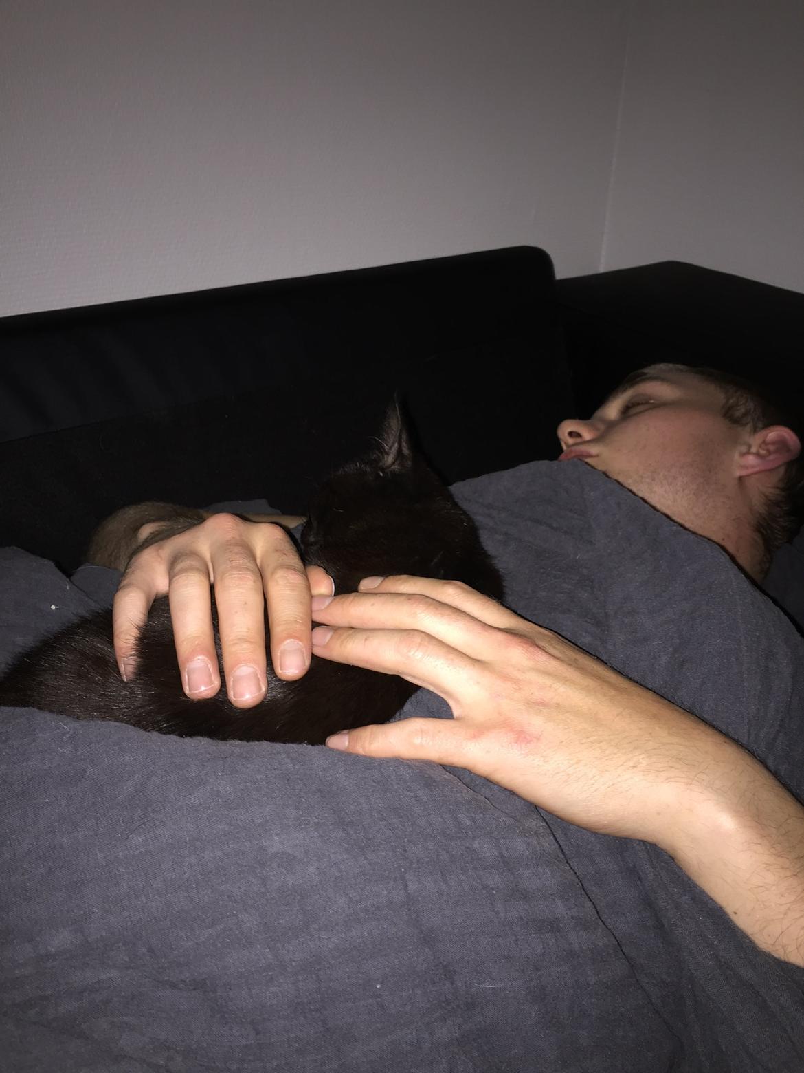 Huskat Cupcake <3 billede 8