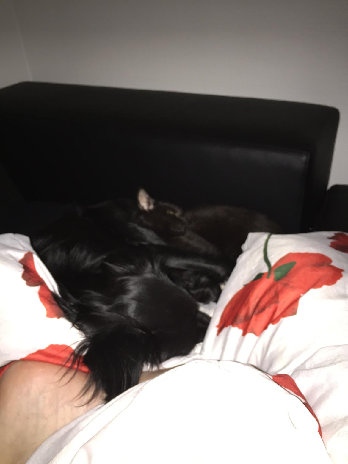 Huskat Cupcake <3 billede 9