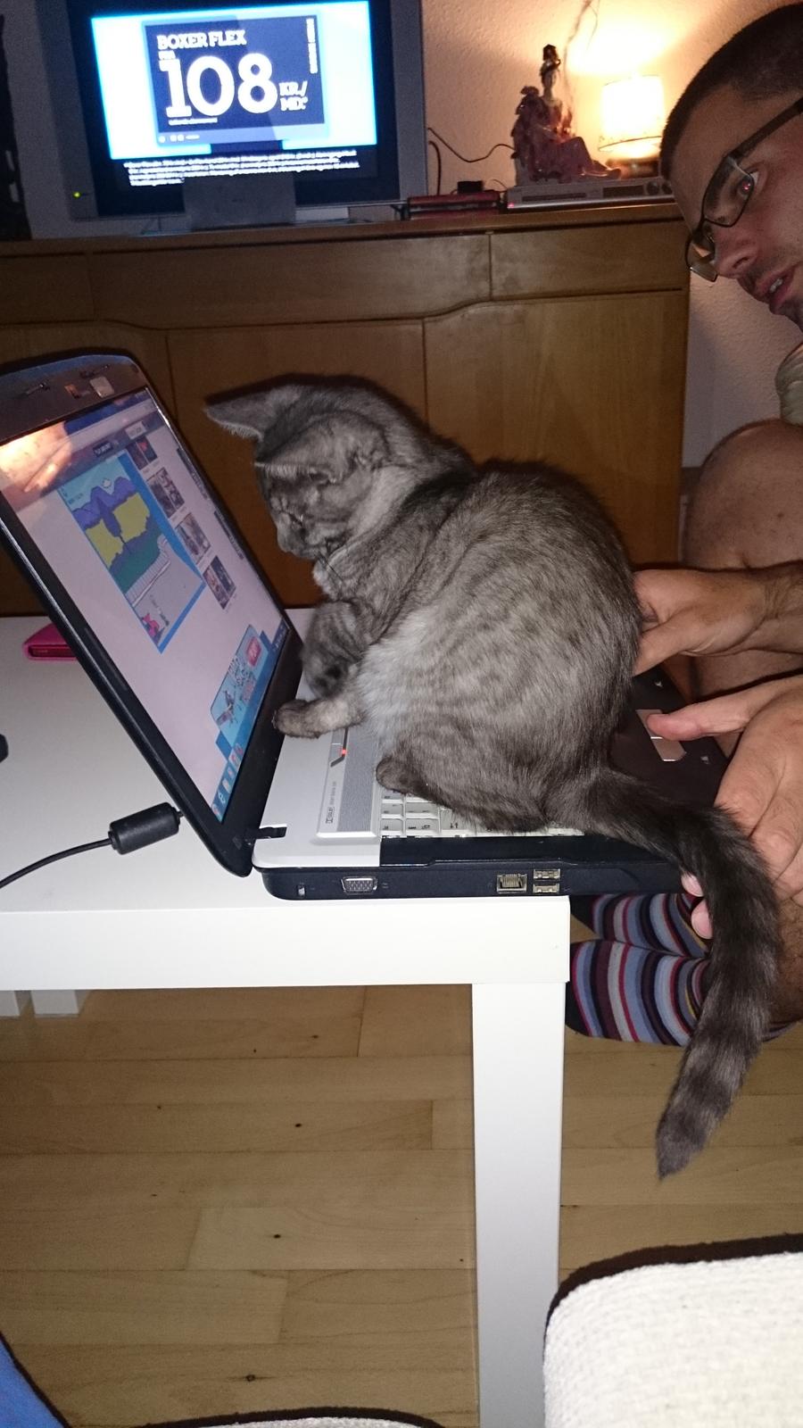 Blanding af racer star billede 1