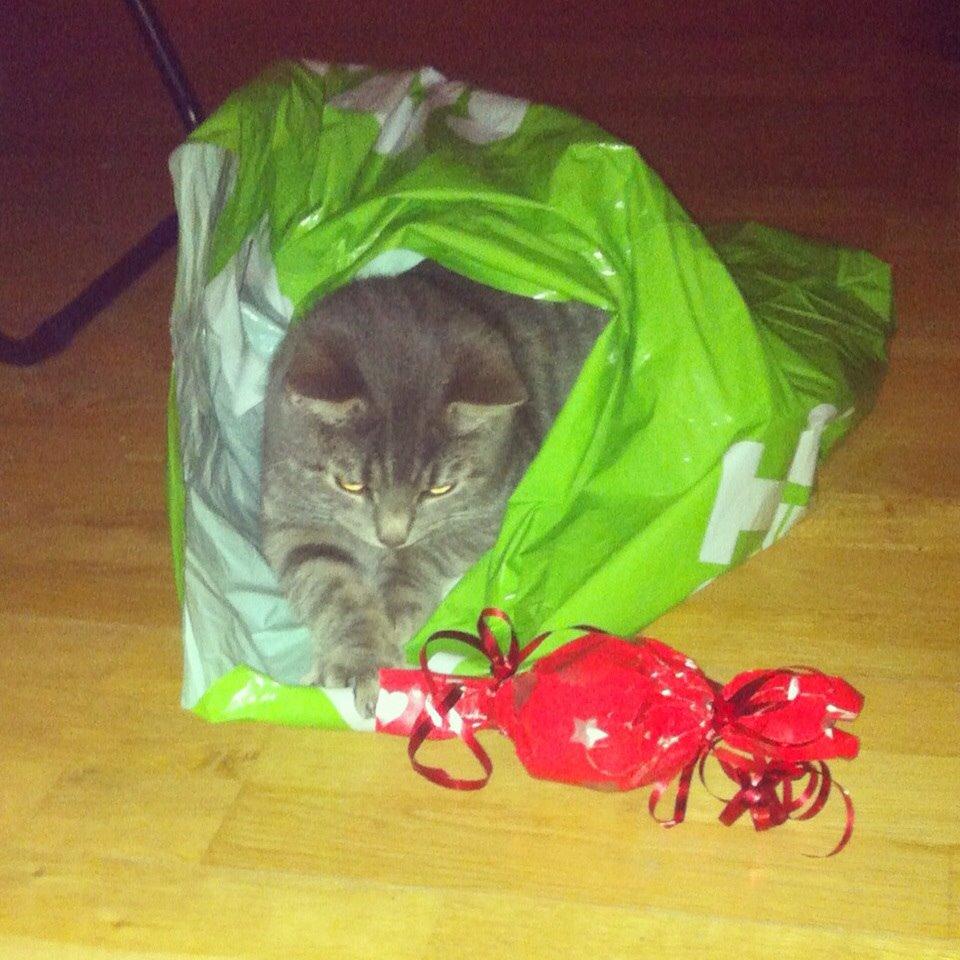 Blanding af racer Johnson billede 16