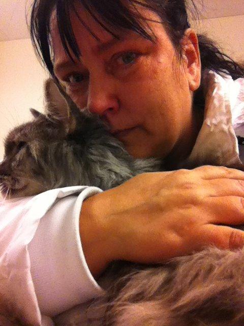 Maine Coon Sleipner/Koda billede 10