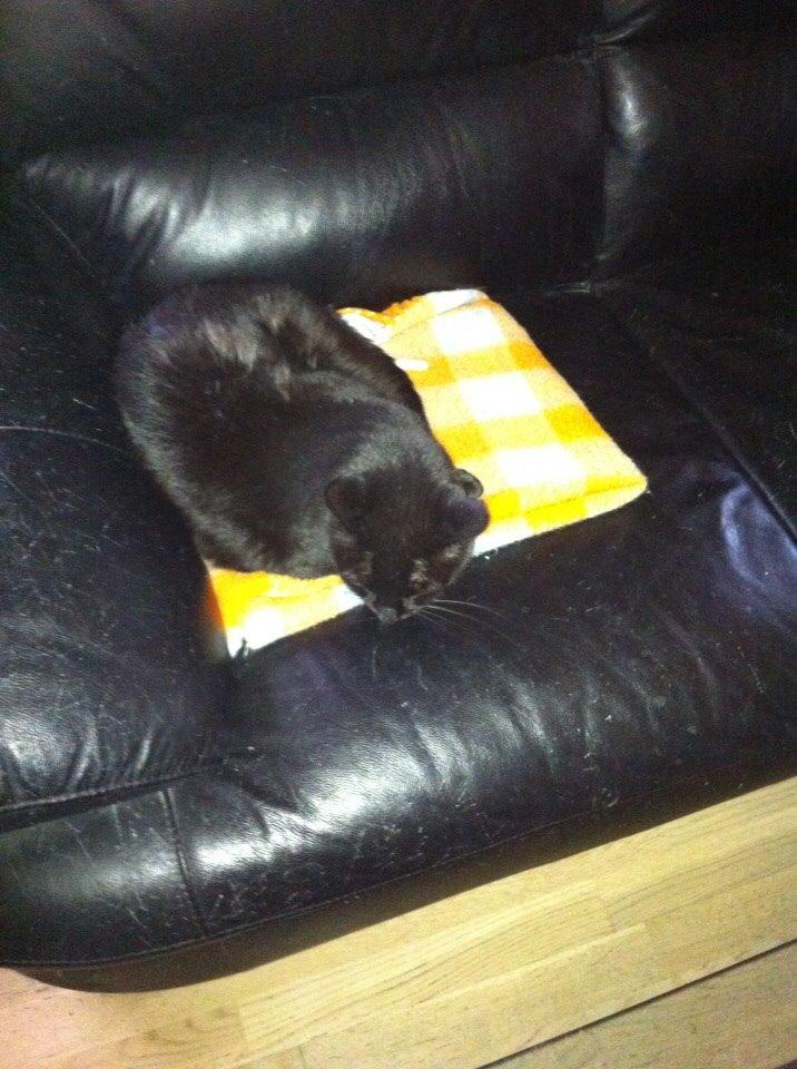 Huskat Tulle billede 6