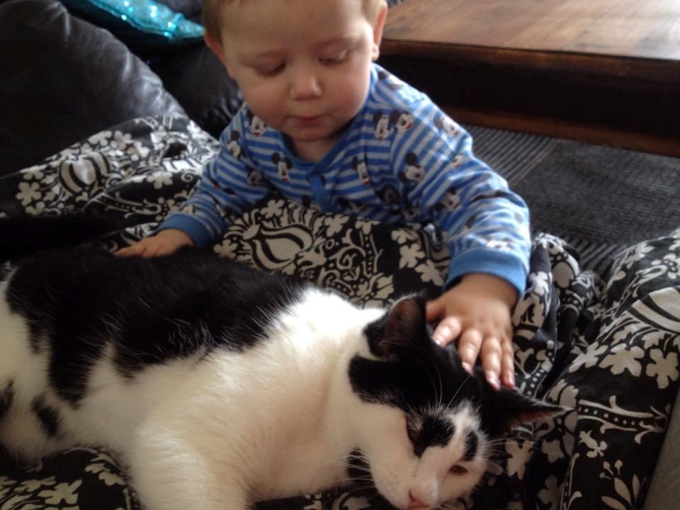 Huskat Thomas billede 9