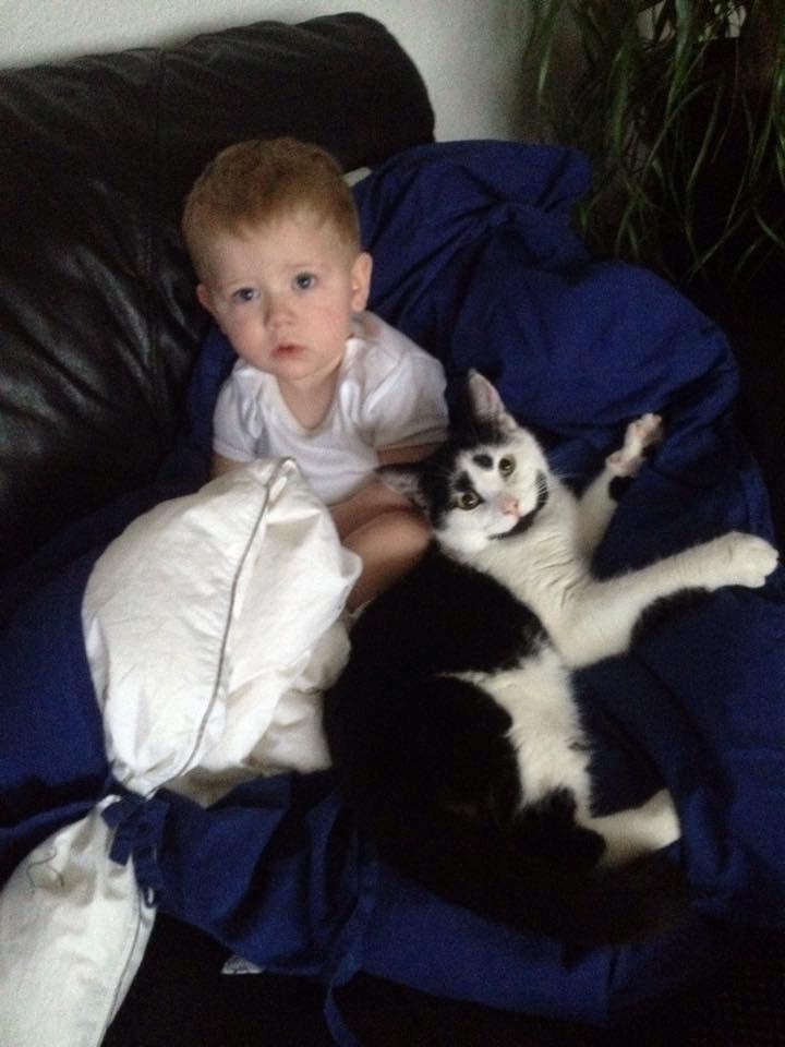 Huskat Thomas billede 10