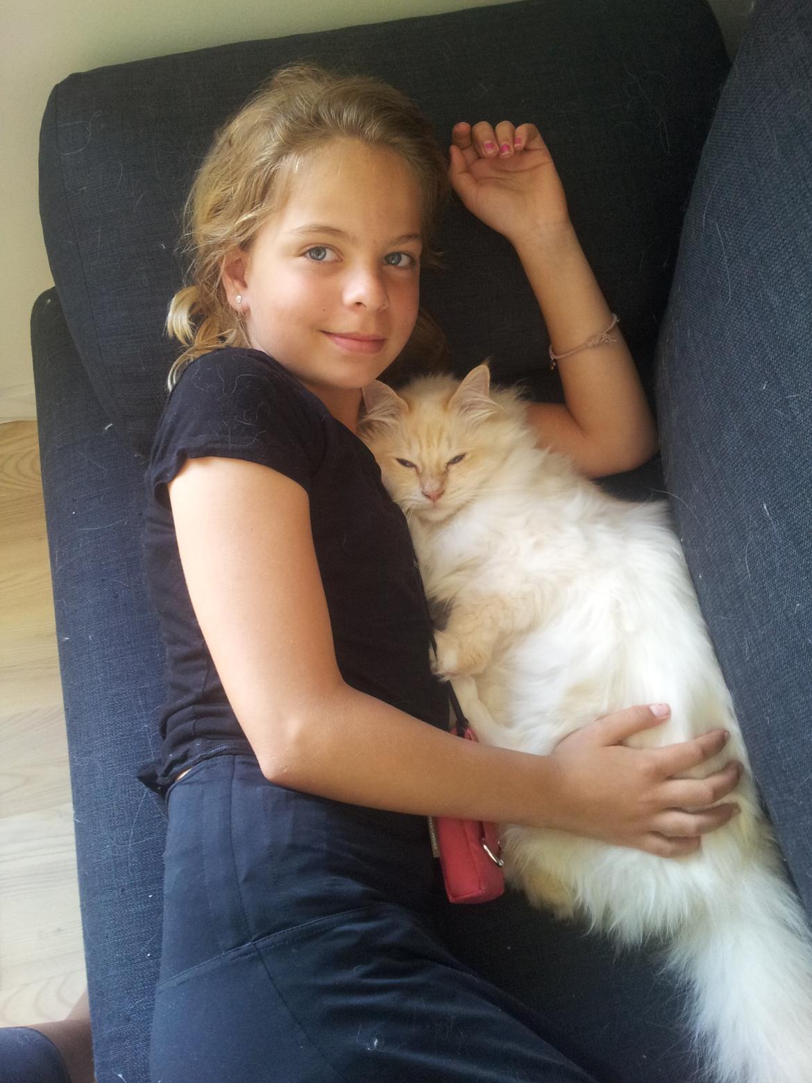 Hellig Birma Sid billede 5