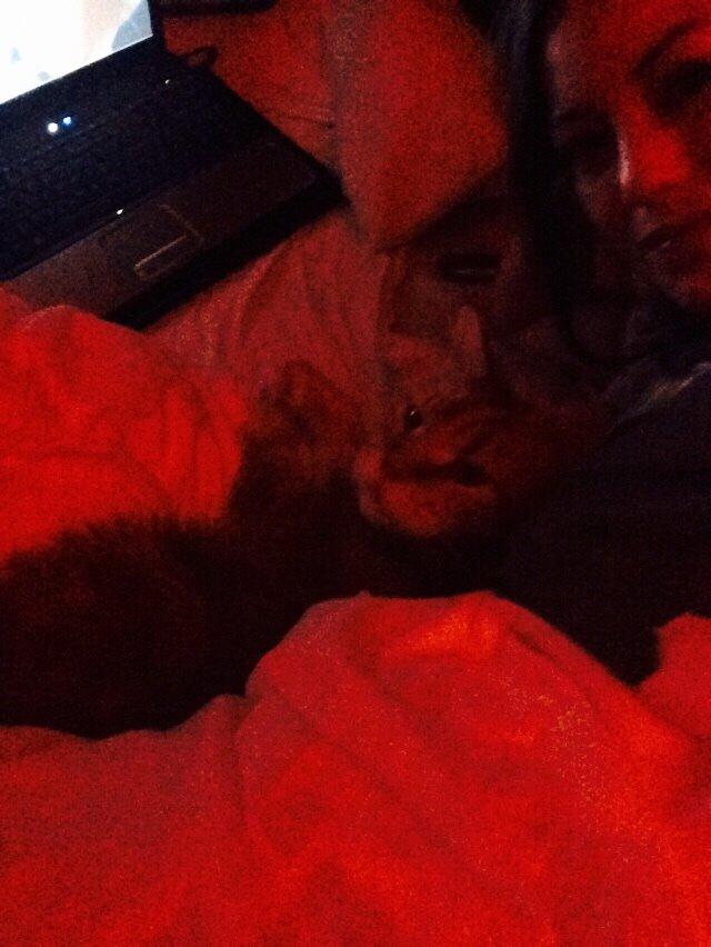 Maine Coon Cæsar billede 3