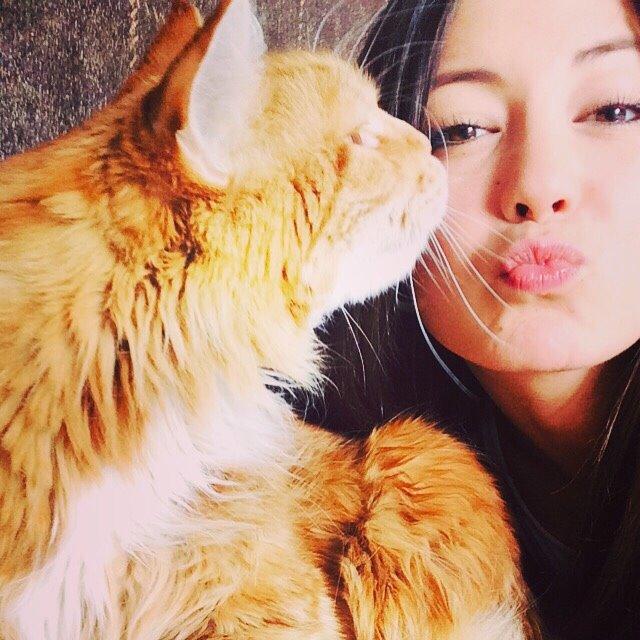 Maine Coon Cæsar billede 9