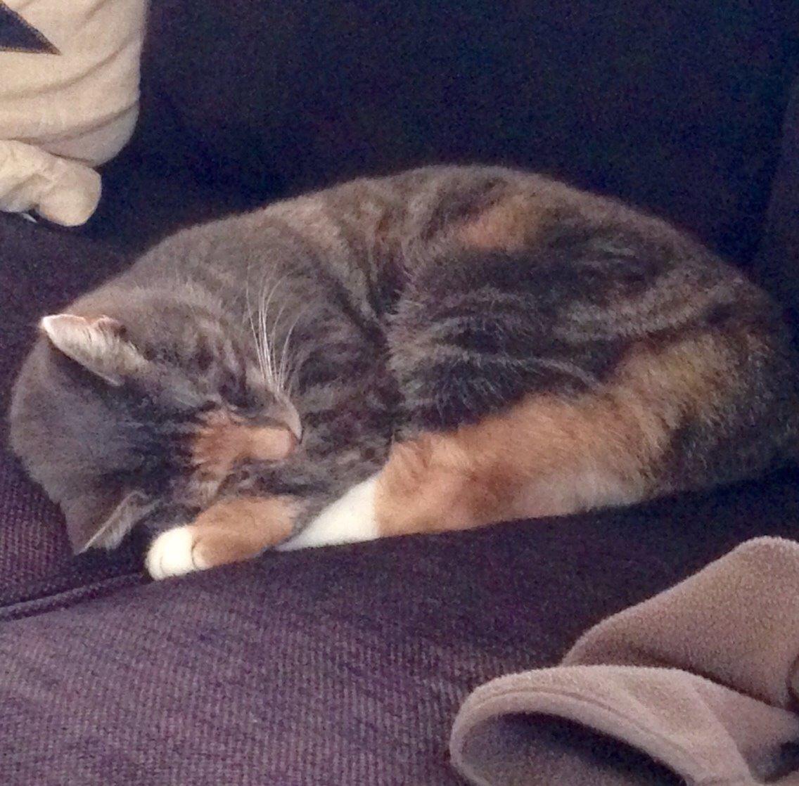 Reersø Mille *Himmelmis* billede 23