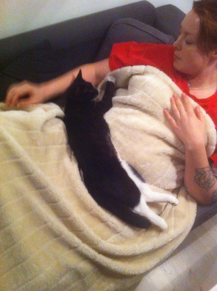 Huskat Cutie billede 9