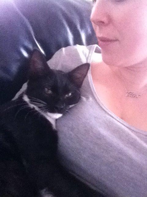 Huskat Cutie billede 12